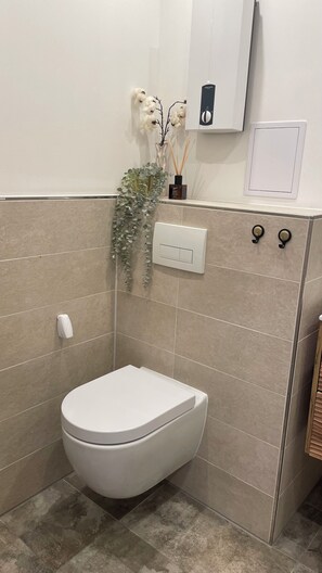 Hair dryer, towels, soap, toilet paper