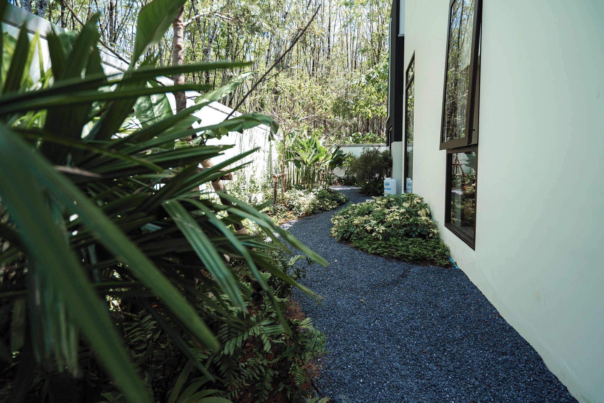 A pathway leading to a building with a white exterior and large windows.