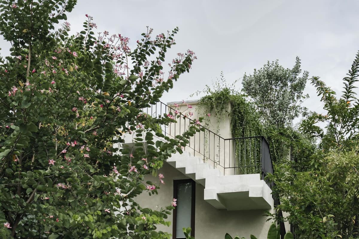 Uma casa moderna com fachada de pedra, porta de madeira e vegetação exuberante ao redor.