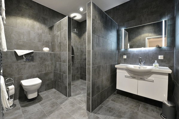 Shower, hair dryer