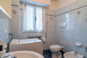 Shower, hair dryer, bidet, towels