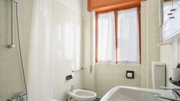 Hair dryer, bidet, towels