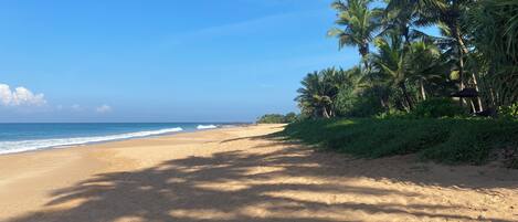 On the beach, sun-loungers, beach towels