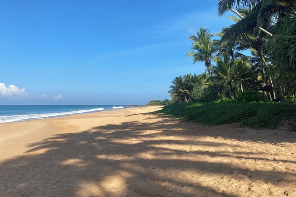 The kind of beach your whole family dreams of