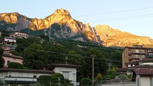 A residential area with houses and a mountain in the background.