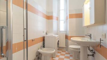 Shower, hair dryer, bidet, towels
