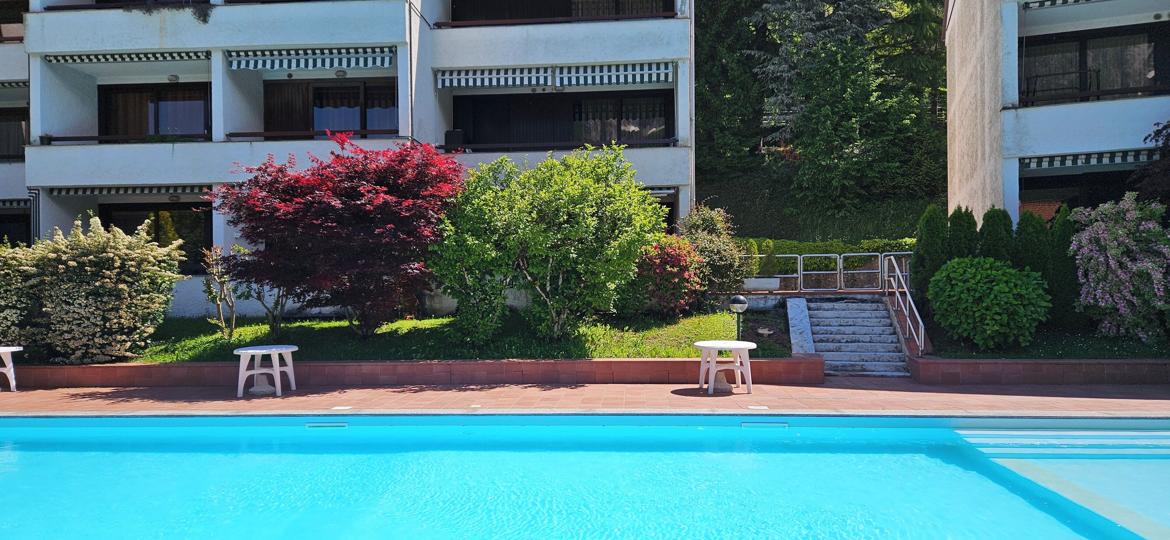 Una piscina con dos sillas blancas, rodeada de follaje y un edificio de varios pisos con balcones.