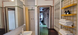 Hair dryer, bidet, towels