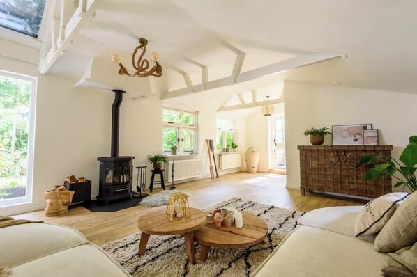 Smart TV, fireplace, books