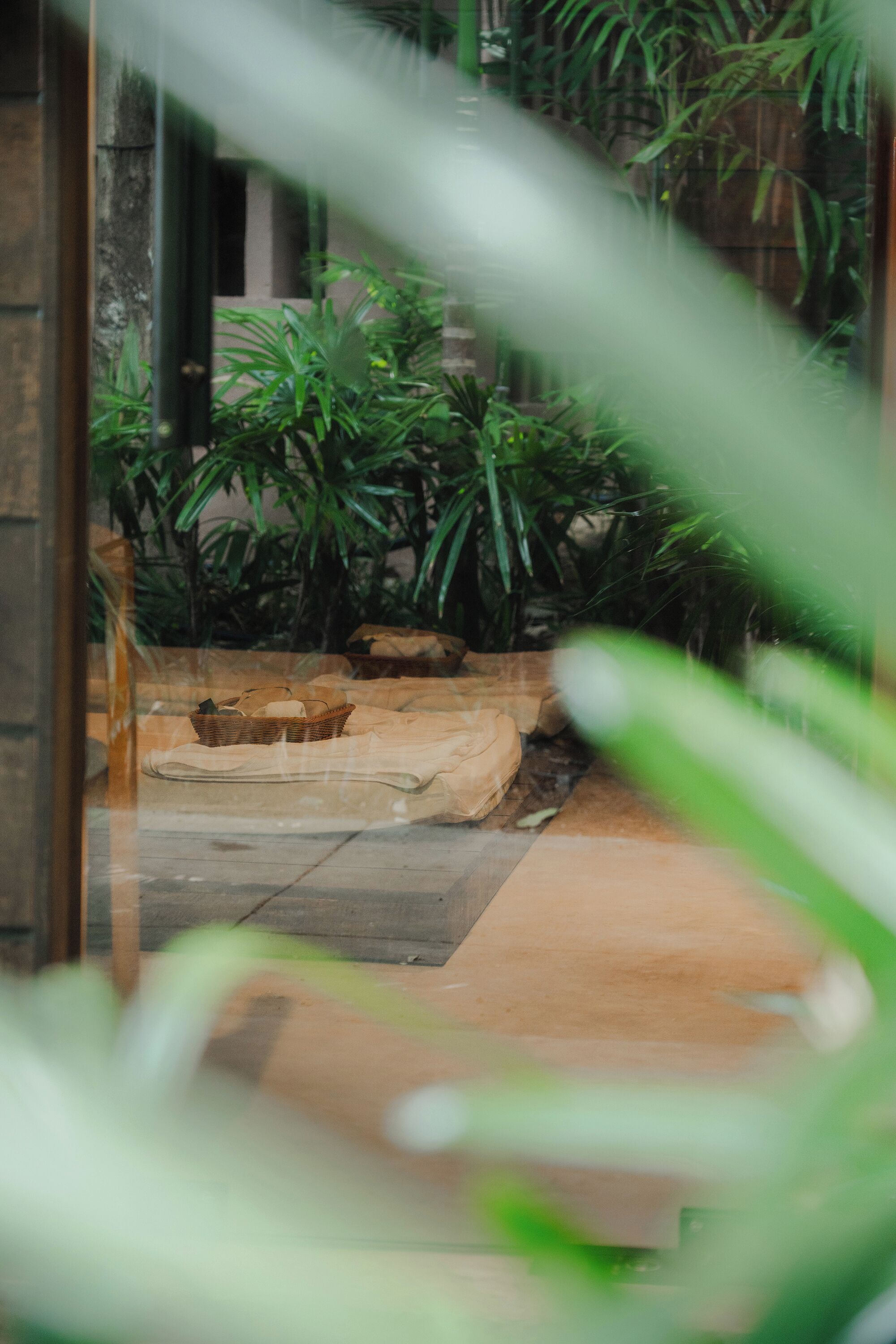 A view through a glass door with a stone bench and plants.