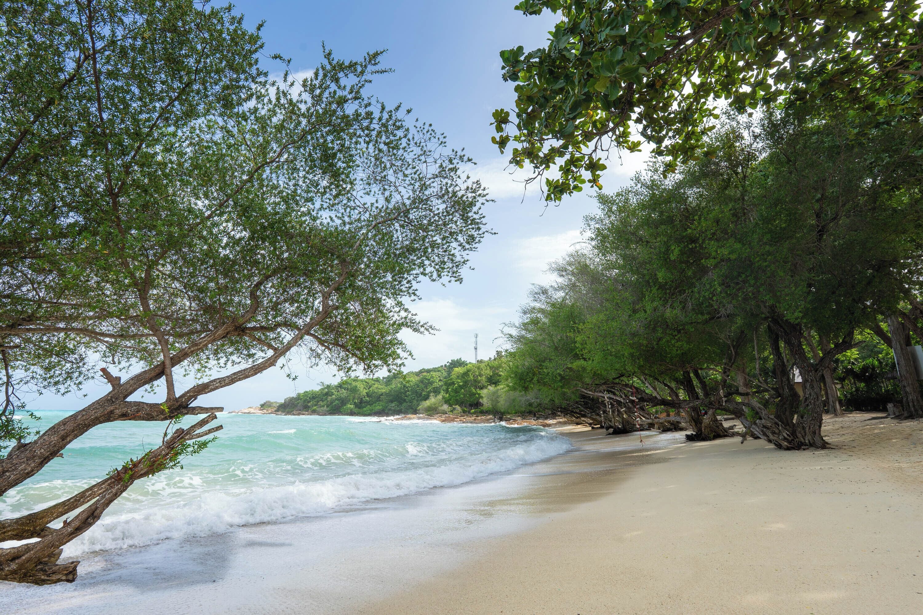 En la playa, playa de arena blanca, snorkel y pesca 