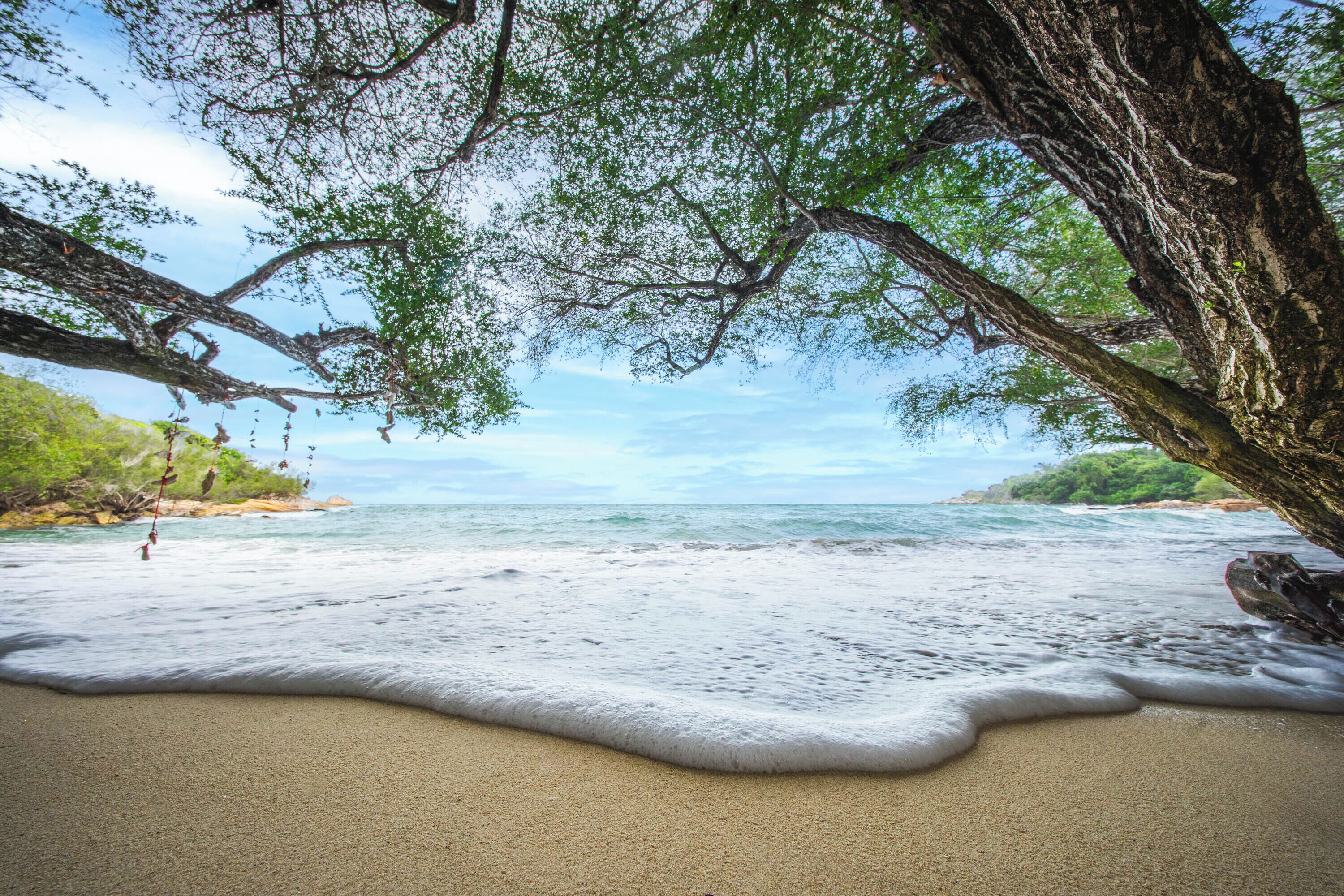 在海滩、白沙、浮潜、钓鱼