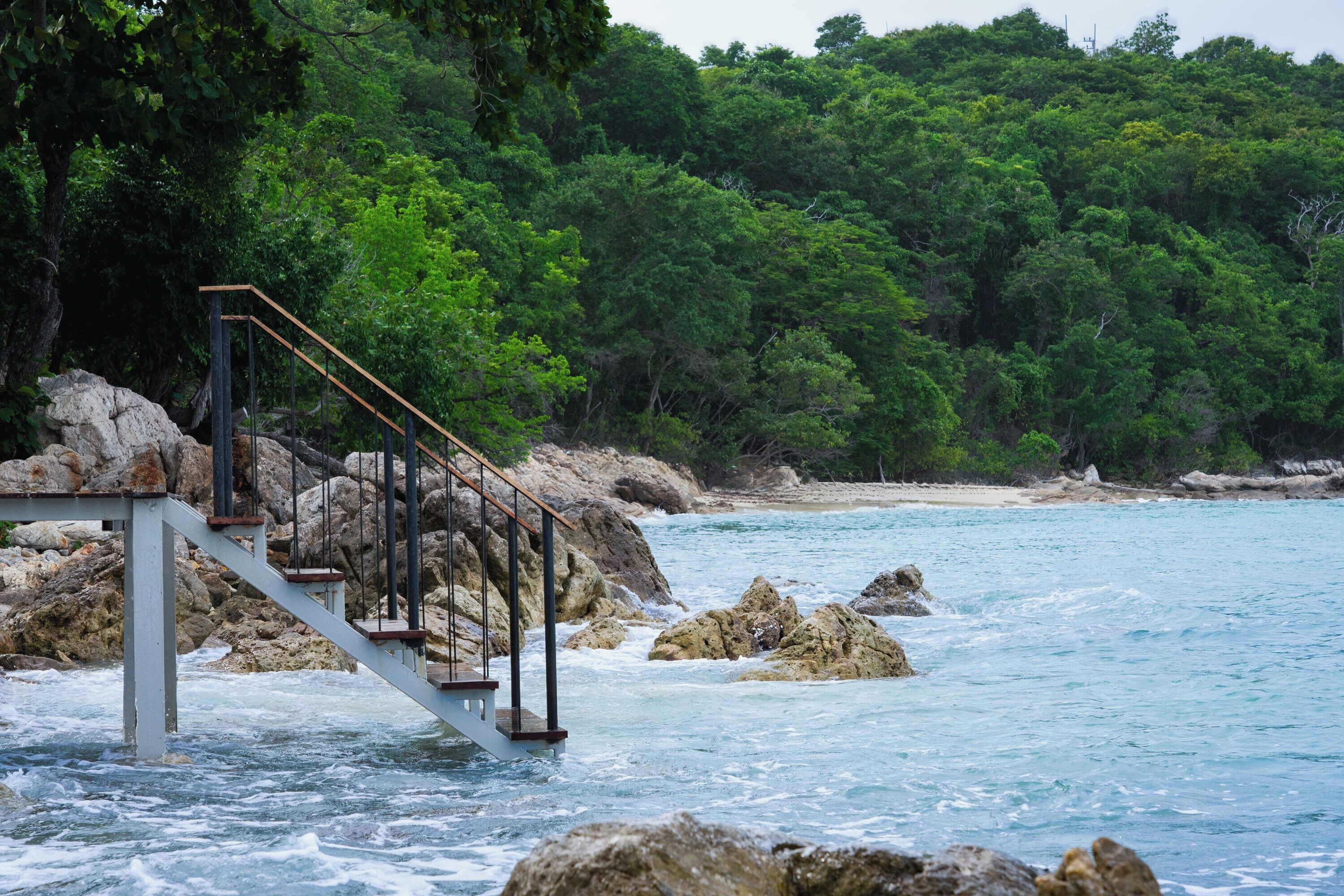 Una escalera que conduce a una plataforma rocosa sobre el agua, rodeada de abundante vegetación.
