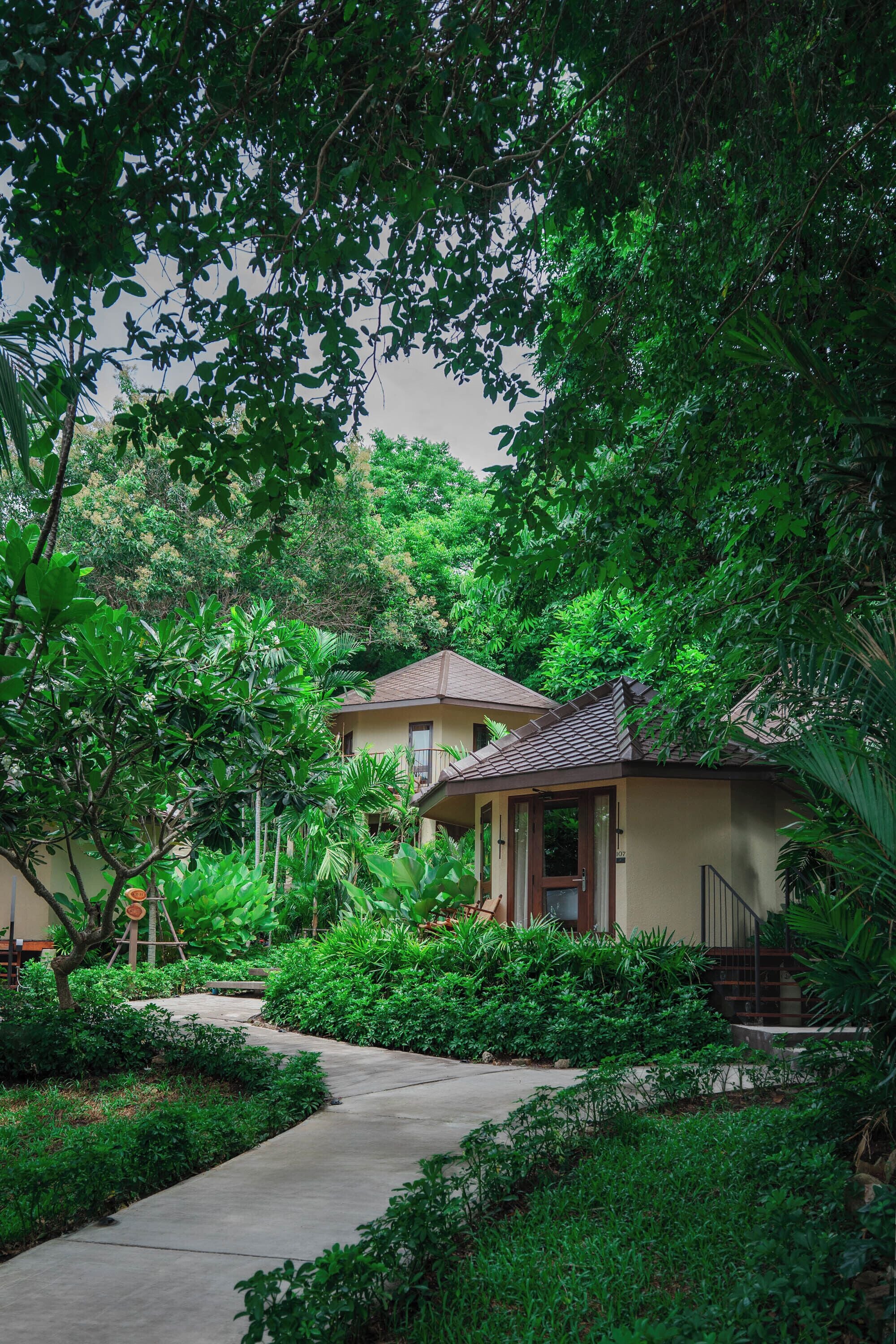 Una casa rodeada de exuberante vegetación, con un sendero de hormigón que lleva a la entrada.