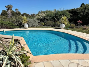 A swimming pool with a curved edge, surrounded by a stone deck and various plants.