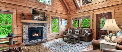 TV, peis, videospill og DVD-spiller