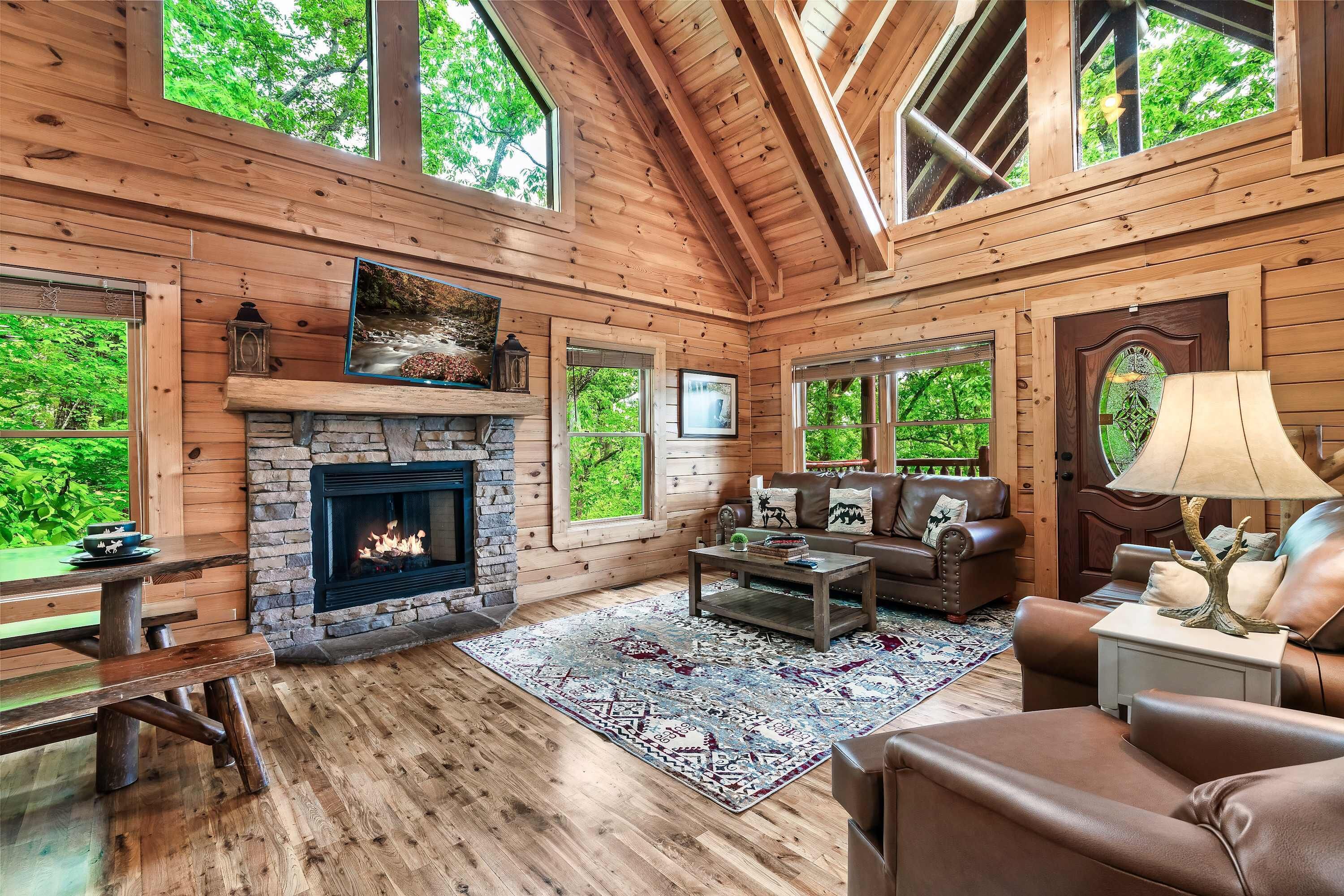 TV, fireplace, video games, DVD player