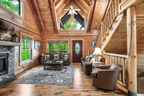 TV, fireplace, video games, DVD player