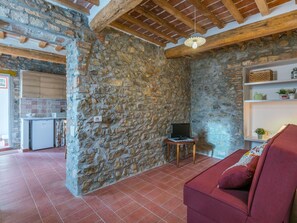 TV, fireplace - Stunning private villa for 6 guests with A/C, WIFI, TV and patio (Santa Luce)