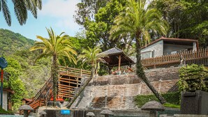 A pool with clear water, surrounded by stone tiles and palm trees. - Sunrise Hot Spring Hotel (Taian)