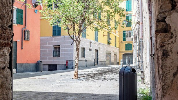 Escena urbana con un árbol, edificios y un buzón.