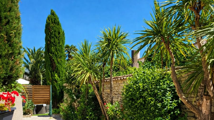 Le Clos des Sternes