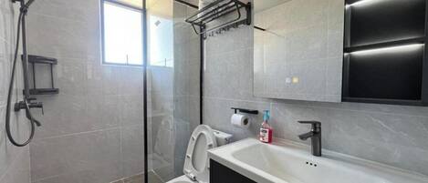A modern bathroom with a glass shower enclosure, a toilet, a sink, and a mirror.
