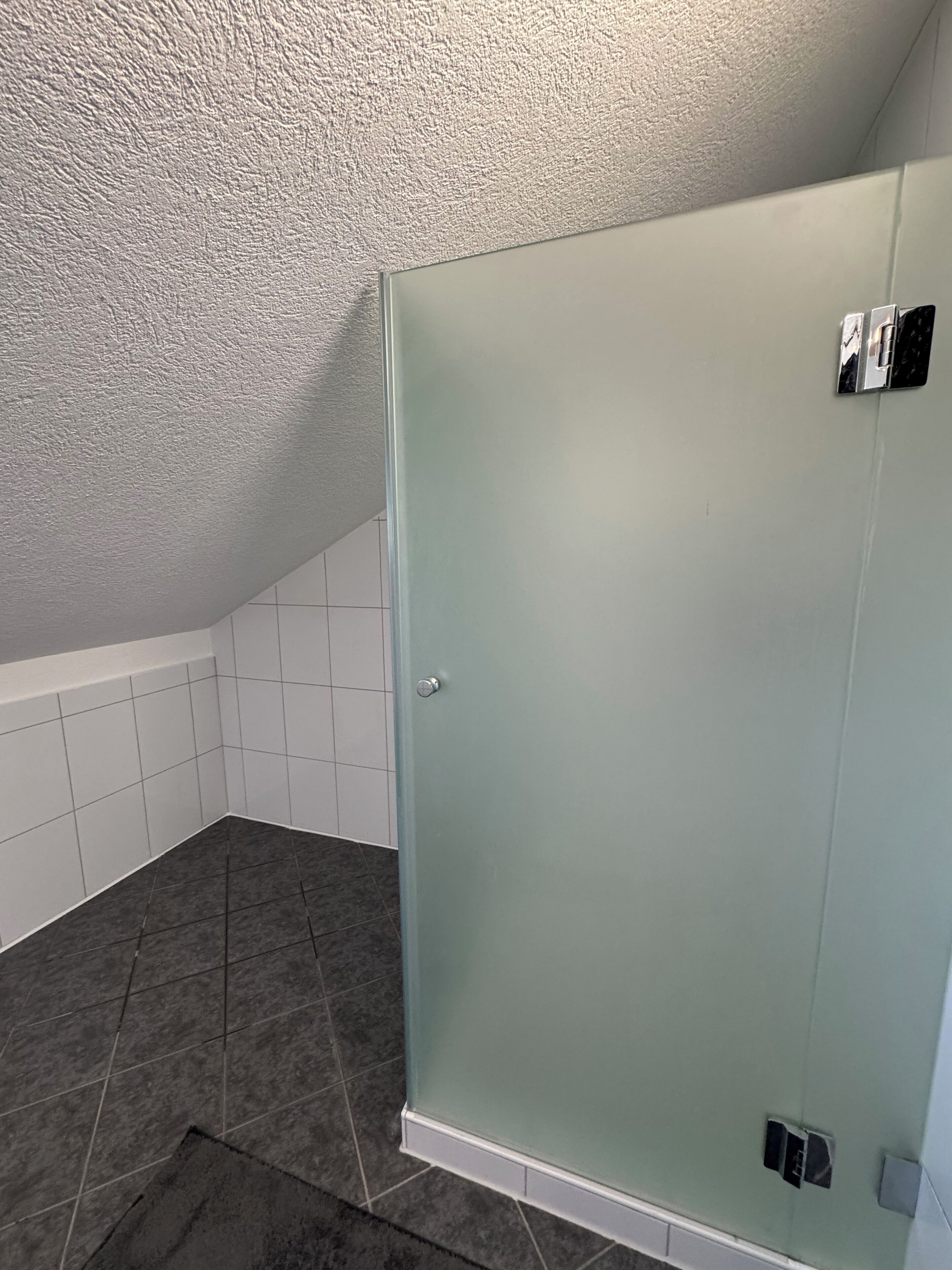 Baño con ducha de vidrio, paredes de azulejos blancos y piso de baldosas oscuras.