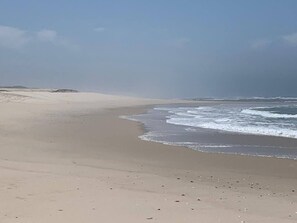 A beach with wide sandy shores and gentle waves. - House With Heated Pool all Year Round (Murtosa)