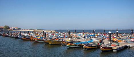 House, 4 Bedrooms, Private Pool, Pool View | Marina