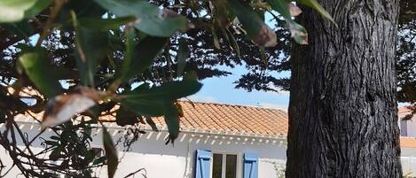 Details aan de buitenkant