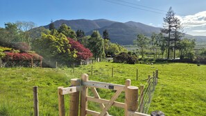 Cottage | Property grounds
