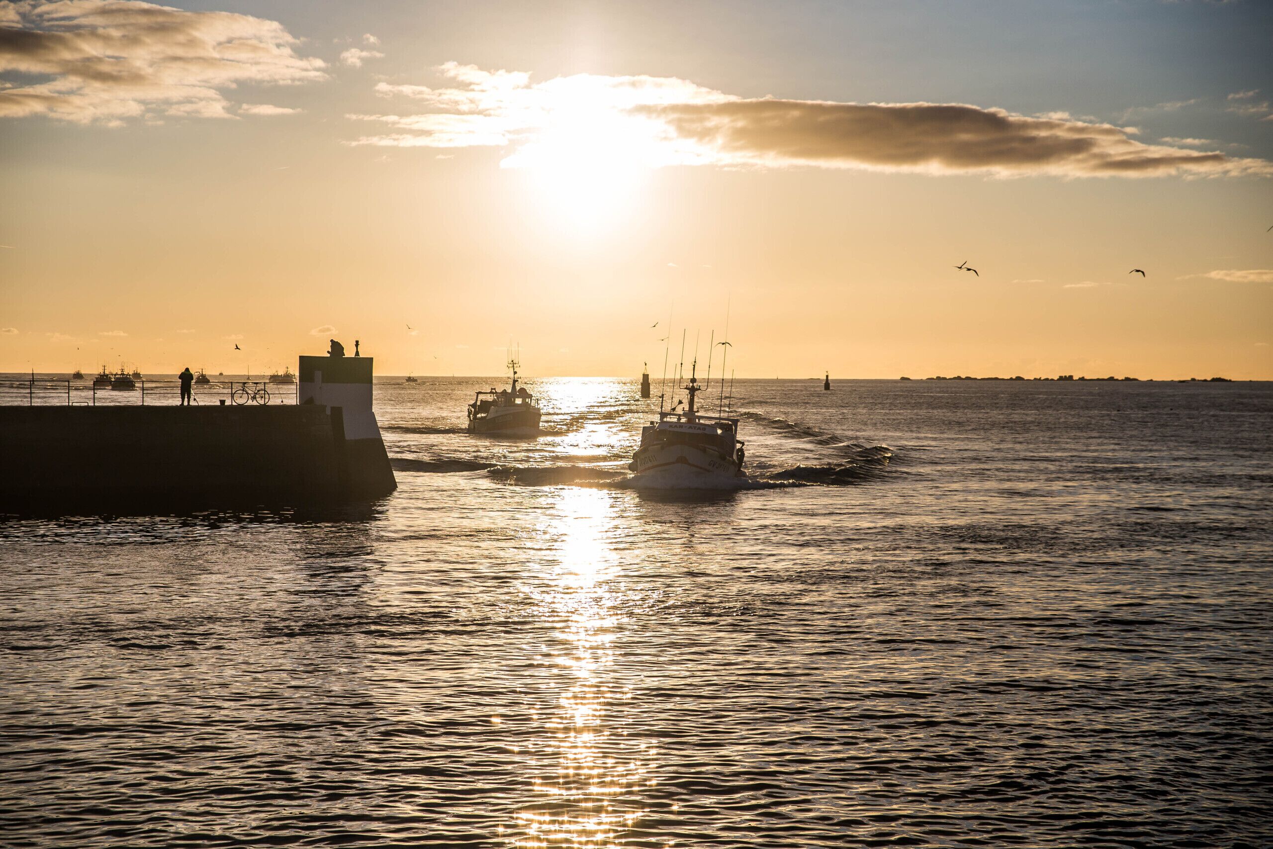 A harbor with boats and a pier during sunset.
