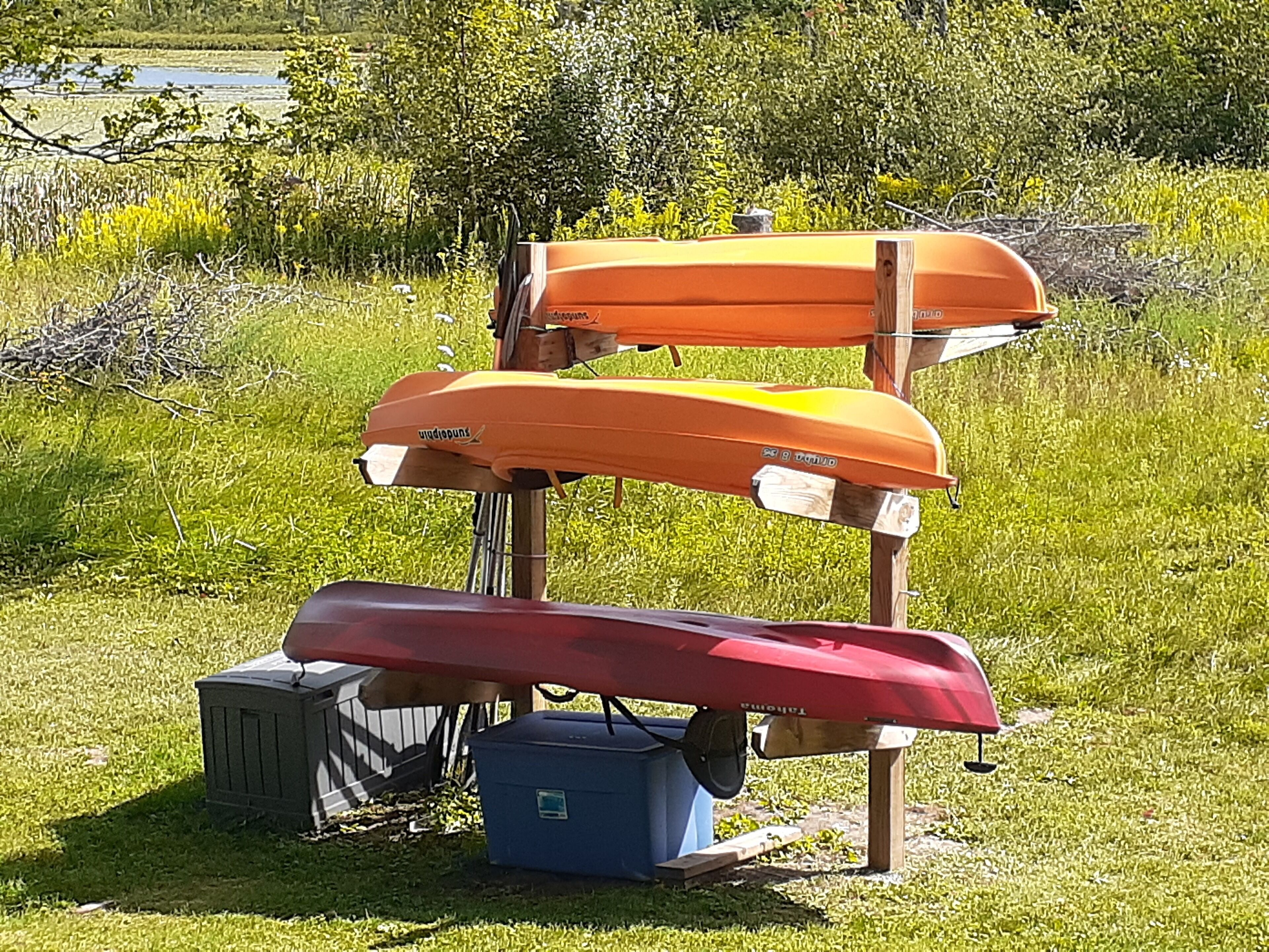En rad kajaker står på ställningar på en gräsyta, med en vattenyta och träd i bakgrunden.