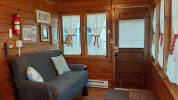 Smart TV, fireplace, books