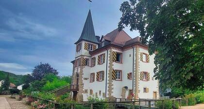Cozy vacation apartment in the heart of the MarkgrÀfler Land near France and CH