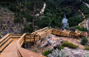A wooden boardwalk with railings, surrounded by dense forest and rocky terrain. - O Cantinho DA RIA - House With Pool and View of the Ria (Murtosa)