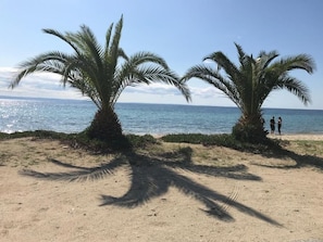 Serviettes de plage
