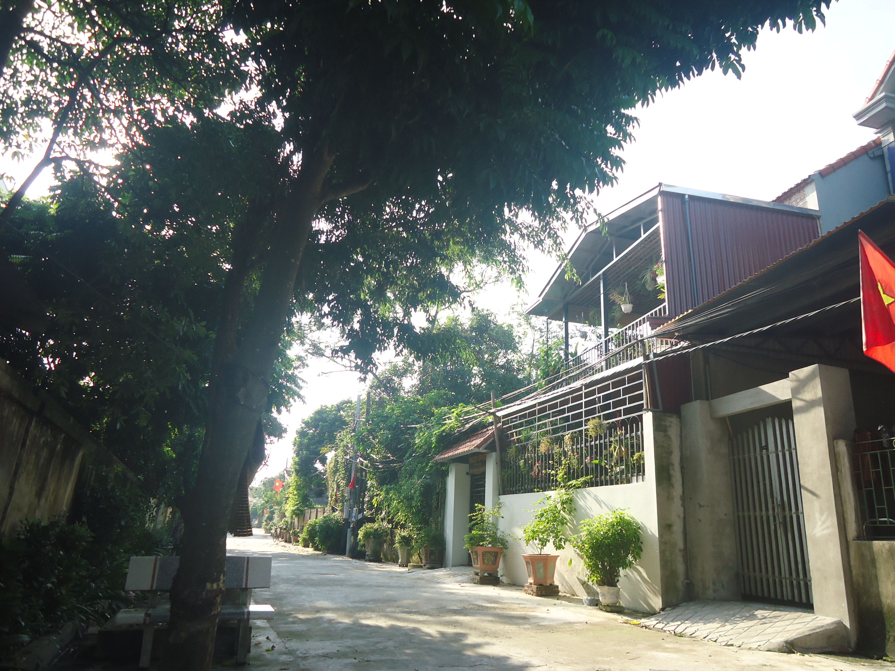 Une rue résidentielle bordée de maisons, de plantes en pot et ornée d’un drapeau.