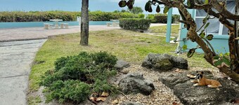 Unique Oceanside Escape 19