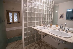 Shower, hair dryer, bidet, towels