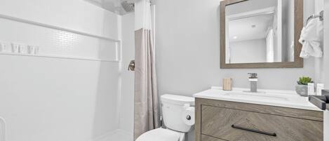 A modern bathroom with a shower, toilet, vanity, and a mirror.