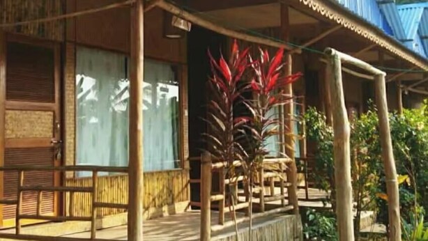 Een houten gebouw met een veranda, grote ramen en een tropische plant.