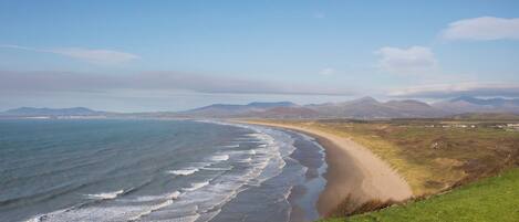 ใกล้ชายหาด