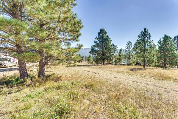 A natural landscape with a dirt path, pine trees, and a distant mountain. - Autumn Mtn Views! Condo 2 Mi to Angel Fire Resort (Angel Fire)