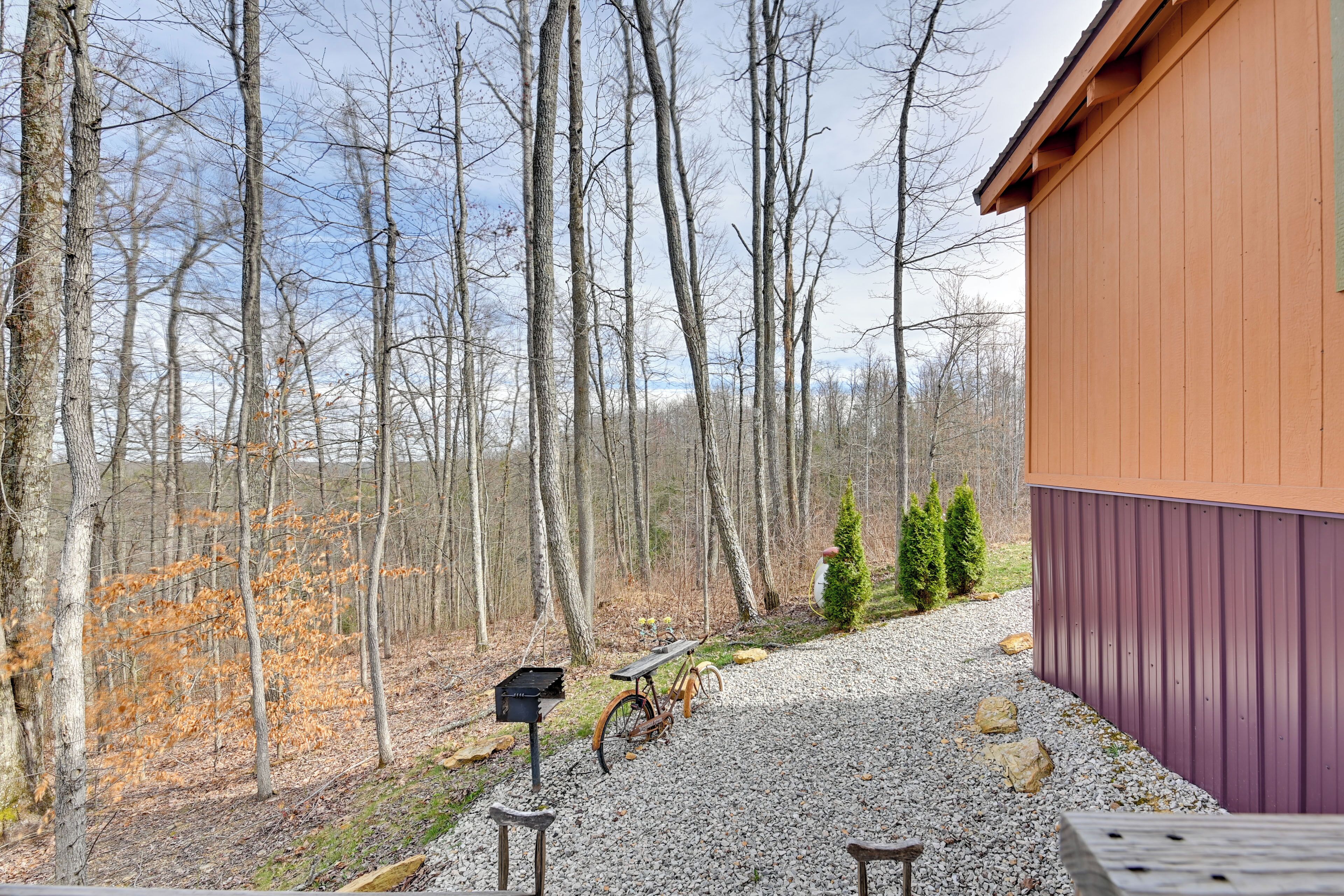 A gravel path leading to a wooden building with a purple exterior, surrounded by trees and a small Christmas tree.