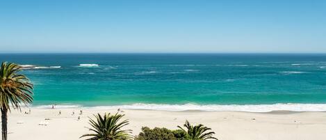 Une plage avec une eau d’un bleu limpide, un rivage sablonneux et des palmiers.