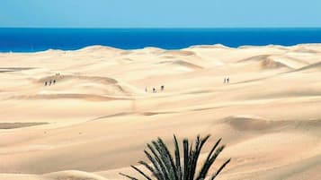 Chalet | View from property