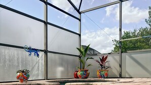 An indoor swimming pool with clear water, surrounded by a metal frame structure, and decorated with colorful plants and a gecko decoration.