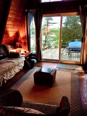 Smart-tv, een open haard, een tafeltennistafel en boeken